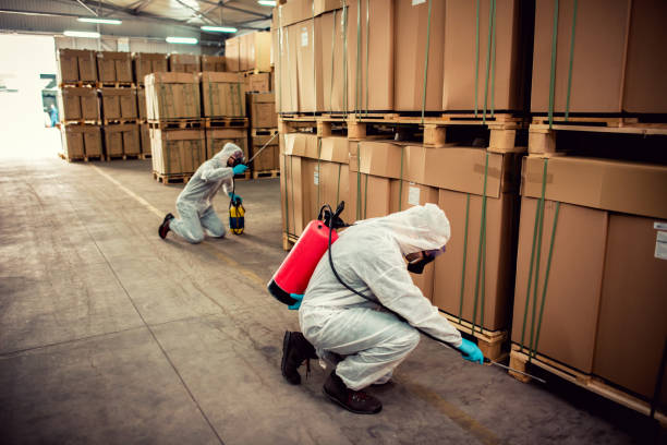 Best Local Pest Control Services  in Iselin, NJ