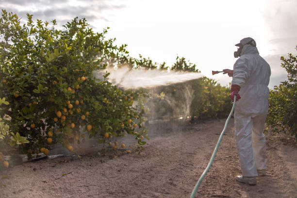 Best Termite Control Services  in Iselin, NJ
