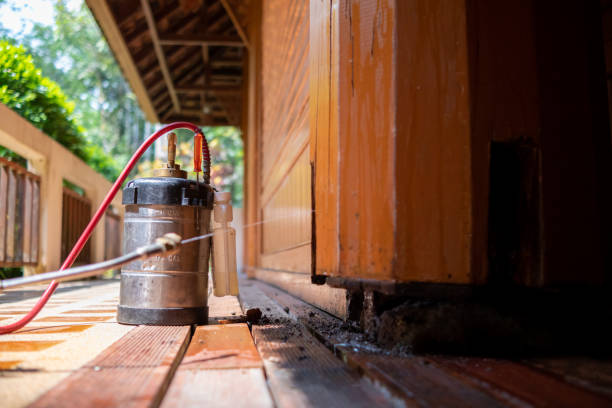 Best Best Pest Control Companies  in Iselin, NJ