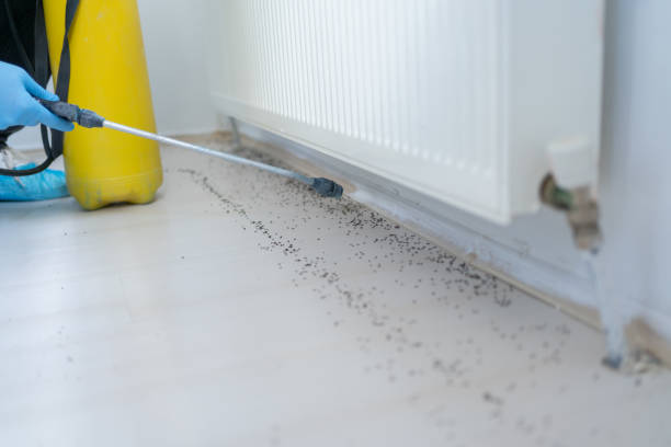 Best Wildlife Control Services  in Iselin, NJ