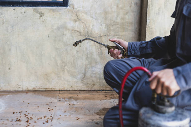 Best Emergency Pest Control  in Iselin, NJ
