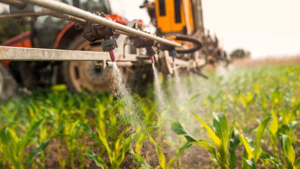Best Ant Control Services  in Iselin, NJ